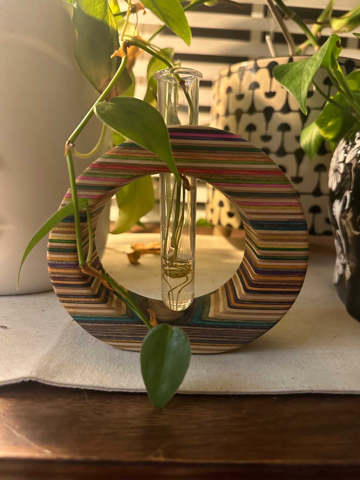 Recycled Skateboard Propagation Station