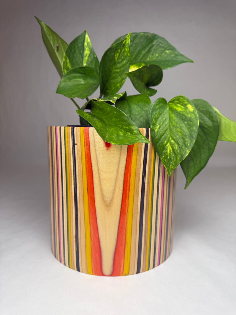 Large Flower Pot